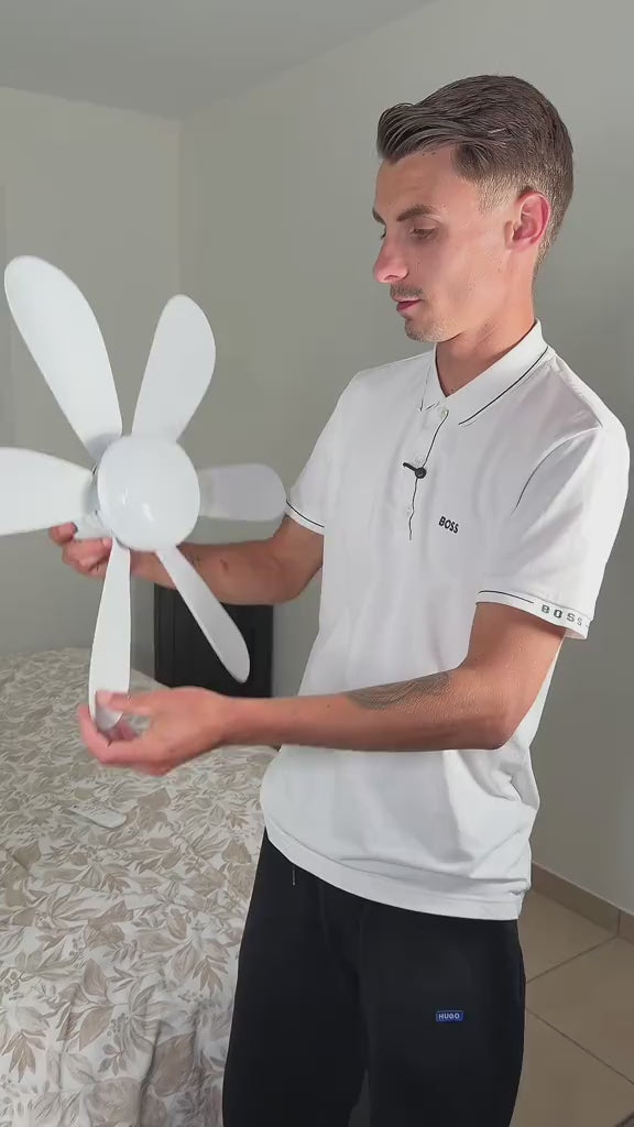 Ventilateur Plafonnier BRĪZA